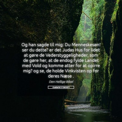 Picture 05 - Ezekiel 8:17 DA1871 - Og han sagde til mig: Du Menneskesøn! ser du - Bible Verse Picture