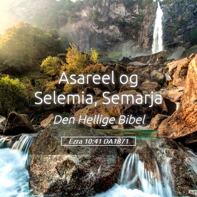 Picture 05 - Ezra 10:41 DA1871 - Asareel og Selemia, - Bible Verse Picture