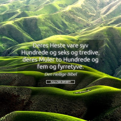 Picture 05 - Ezra 2:66 DA1871 - Deres Heste vare syv Hundrede og seks og tredive, - Bible Verse Picture