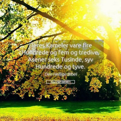 Picture 05 - Ezra 2:67 DA1871 - Deres Kameler vare fire Hundrede og fem og - Bible Verse Picture