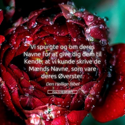Picture 05 - Ezra 5:10 DA1871 - Vi spurgte og om deres Navne for at give dig dem - Bible Verse Picture