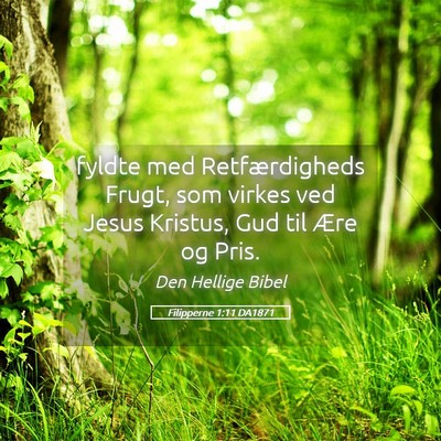Picture 05 - Filipperne 1:11 DA1871 - fyldte med Retfærdigheds Frugt, som virkes ved - Bible Verse Picture
