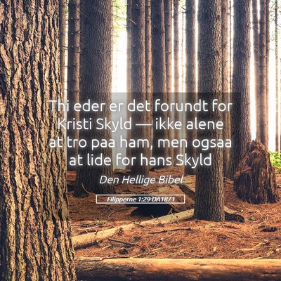 Picture 05 - Filipperne 1:29 DA1871 - Thi eder er det forundt for Kristi Skyld — ikke - Bible Verse Picture