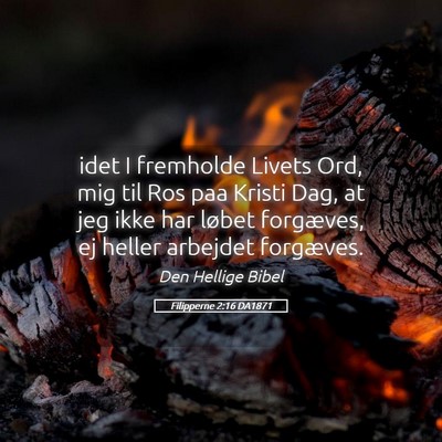 Picture 05 - Filipperne 2:16 DA1871 - idet I fremholde Livets Ord, mig til Ros paa - Bible Verse Picture