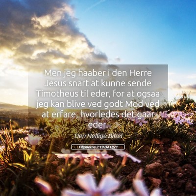 Picture 05 - Filipperne 2:19 DA1871 - Men jeg haaber i den Herre Jesus snart at kunne - Bible Verse Picture