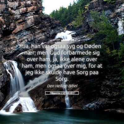 Picture 05 - Filipperne 2:27 DA1871 - Ja, han var ogsaa syg og Døden nær; men Gud - Bible Verse Picture