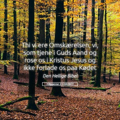 Picture 05 - Filipperne 3:3 DA1871 - Thi vi ere Omskærelsen, vi, som tjene i Guds - Bible Verse Picture