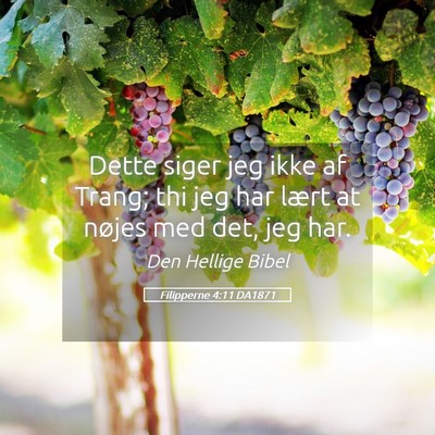 Picture 05 - Filipperne 4:11 DA1871 - Dette siger jeg ikke af Trang; thi jeg har lært - Bible Verse Picture