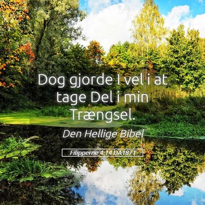 Picture 05 - Filipperne 4:14 DA1871 - Dog gjorde I vel i at tage Del i min - Bible Verse Picture