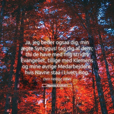 Picture 05 - Filipperne 4:3 DA1871 - Ja, jeg beder ogsaa dig, min ægte Synzygus! tag - Bible Verse Picture