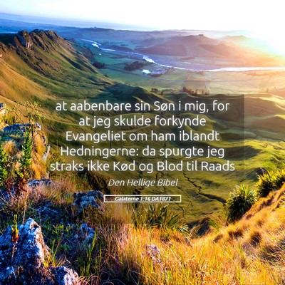 Picture 05 - Galaterne 1:16 DA1871 - at aabenbare sin Søn i mig, for at jeg skulde - Bible Verse Picture