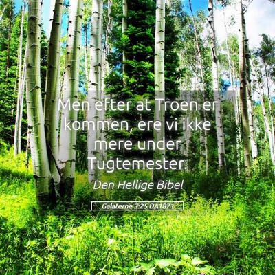 Picture 05 - Galaterne 3:25 DA1871 - Men efter at Troen er kommen, ere vi ikke mere - Bible Verse Picture