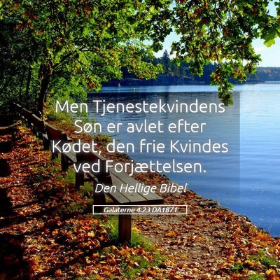 Picture 05 - Galaterne 4:23 DA1871 - Men Tjenestekvindens Søn er avlet efter Kødet, - Bible Verse Picture