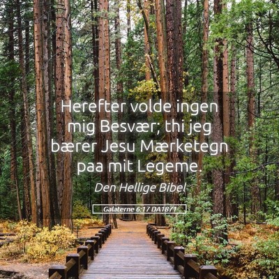 Picture 05 - Galaterne 6:17 DA1871 - Herefter volde ingen mig Besvær; thi jeg bærer - Bible Verse Picture