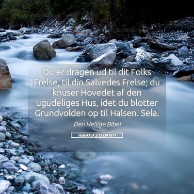 Picture 05 - Habakkuk 3:13 DA1871 - Du er dragen ud til dit Folks Frelse, til din - Bible Verse Picture