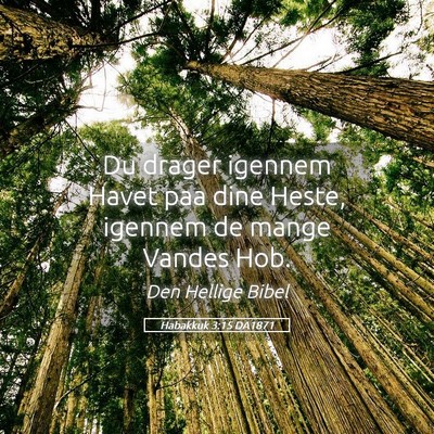 Picture 05 - Habakkuk 3:15 DA1871 - Du drager igennem Havet paa dine Heste, igennem - Bible Verse Picture