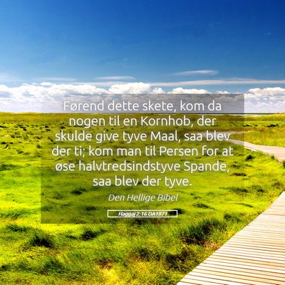 Picture 05 - Haggaj 2:16 DA1871 - Førend dette skete, kom da nogen til en Kornhob, - Bible Verse Picture