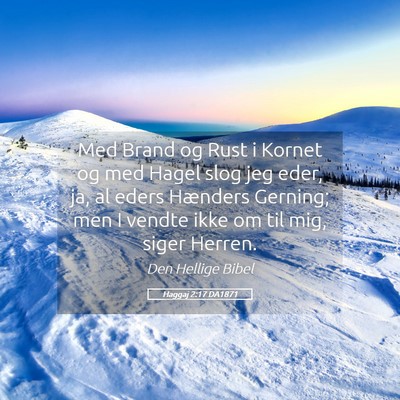 Picture 05 - Haggaj 2:17 DA1871 - Med Brand og Rust i Kornet og med Hagel slog jeg - Bible Verse Picture