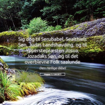 Picture 05 - Haggaj 2:2 DA1871 - Sig dog til Serubabel, Sealthiels Søn, Judas - Bible Verse Picture