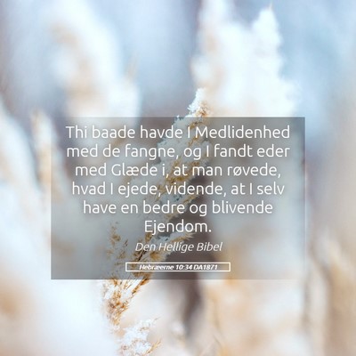 Picture 05 - Hebræerne 10:34 DA1871 - Thi baade havde I Medlidenhed med de fangne, og I - Bible Verse Picture