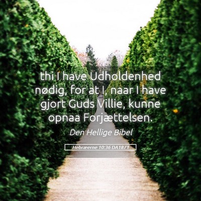 Picture 05 - Hebræerne 10:36 DA1871 - thi I have Udholdenhed nødig, for at I, naar I - Bible Verse Picture
