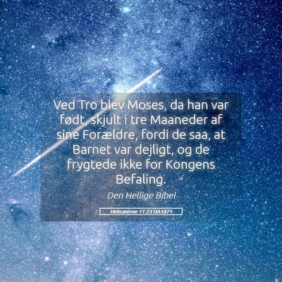 Picture 05 - Hebræerne 11:23 DA1871 - Ved Tro blev Moses, da han var født, skjult i - Bible Verse Picture