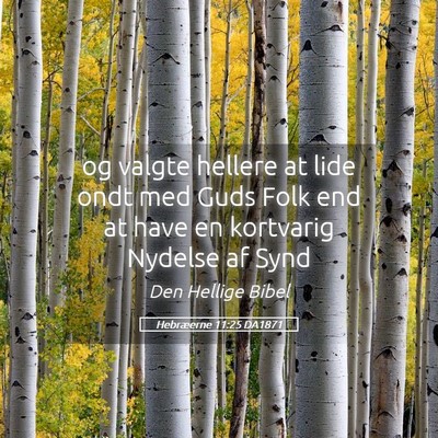 Picture 05 - Hebræerne 11:25 DA1871 - og valgte hellere at lide ondt med Guds Folk end - Bible Verse Picture