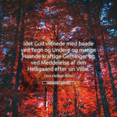 Picture 05 - Hebræerne 2:4 DA1871 - idet Gud vidnede med baade ved Tegn og Undere og - Bible Verse Picture