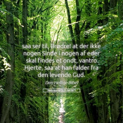 Picture 05 - Hebræerne 3:12 DA1871 - saa ser til, Brødre! at der ikke nogen Sinde i - Bible Verse Picture