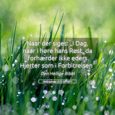 Picture 05 - Hebræerne 3:15 DA1871 - Naar der siges: „I Dag, naar I høre hans - Bible Verse Picture