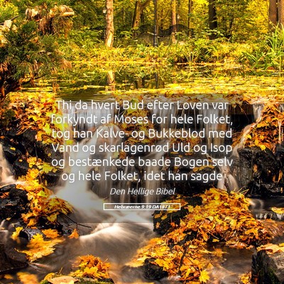 Picture 05 - Hebræerne 9:19 DA1871 - Thi da hvert Bud efter Loven var forkyndt af - Bible Verse Picture