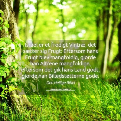 Picture 05 - Hoseas 10:1 DA1871 - Israel er et frodigt Vintræ, det sætter sig - Bible Verse Picture