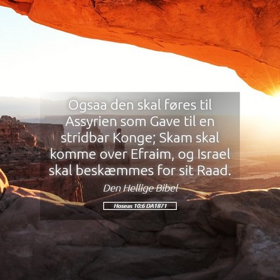 Picture 05 - Hoseas 10:6 DA1871 - Ogsaa den skal føres til Assyrien som Gave til - Bible Verse Picture