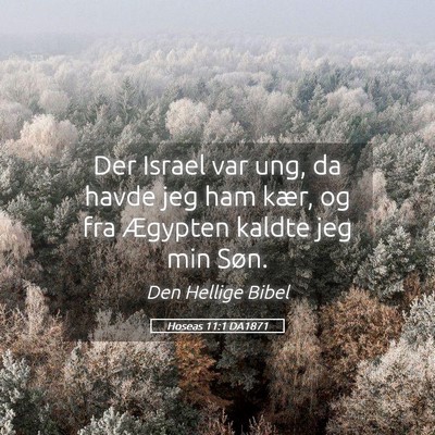 Picture 05 - Hoseas 11:1 DA1871 - Der Israel var ung, da havde jeg ham kær, og fra - Bible Verse Picture