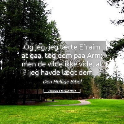Picture 05 - Hoseas 11:3 DA1871 - Og jeg, jeg lærte Efraim at gaa, tog dem paa - Bible Verse Picture