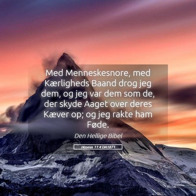 Picture 05 - Hoseas 11:4 DA1871 - Med Menneskesnore, med Kærligheds Baand drog jeg - Bible Verse Picture