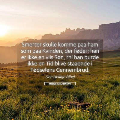 Picture 05 - Hoseas 13:13 DA1871 - Smerter skulle komme paa ham som paa Kvinden, der - Bible Verse Picture