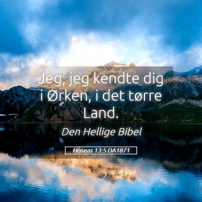 Picture 05 - Hoseas 13:5 DA1871 - Jeg, jeg kendte dig i Ørken, i det tørre - Bible Verse Picture