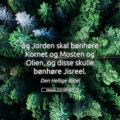 Picture 05 - Hoseas 2:22 DA1871 - og Jorden skal bønhøre Kornet og Mosten og - Bible Verse Picture