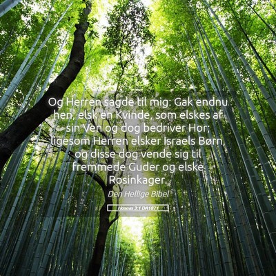 Picture 05 - Hoseas 3:1 DA1871 - Og Herren sagde til mig: Gak endnu hen, elsk en - Bible Verse Picture