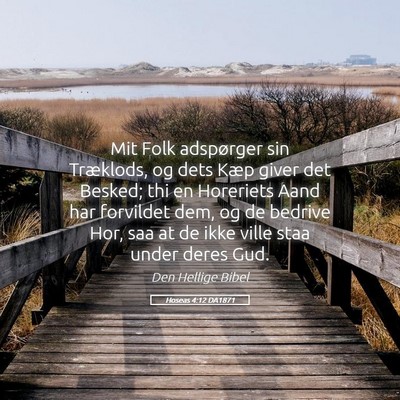 Picture 05 - Hoseas 4:12 DA1871 - Mit Folk adspørger sin Træklods, og dets Kæp - Bible Verse Picture