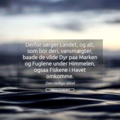 Picture 05 - Hoseas 4:3 DA1871 - Derfor sørger Landet, og alt, som bor deri, - Bible Verse Picture