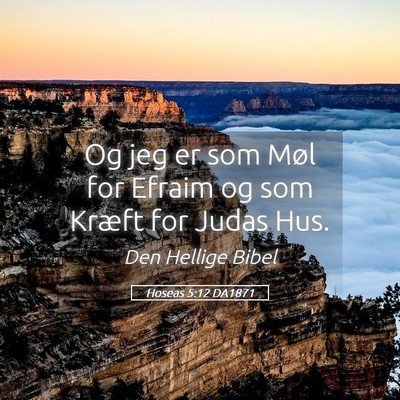 Picture 05 - Hoseas 5:12 DA1871 - Og jeg er som Møl for Efraim og som Kræft for - Bible Verse Picture