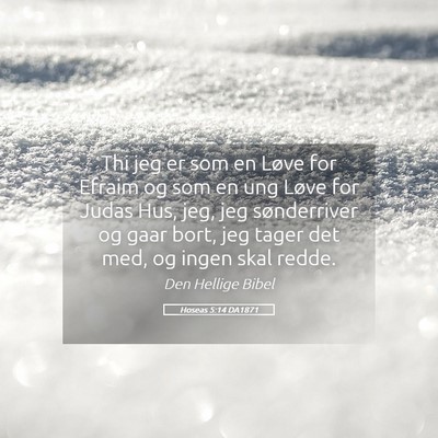 Picture 05 - Hoseas 5:14 DA1871 - Thi jeg er som en Løve for Efraim og som en ung - Bible Verse Picture
