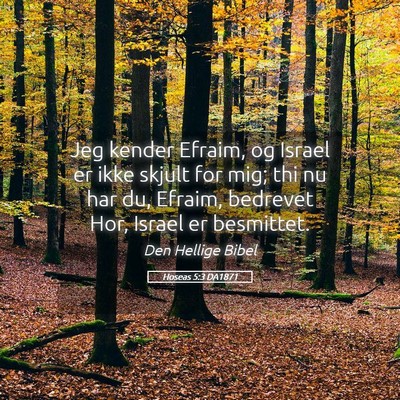 Picture 05 - Hoseas 5:3 DA1871 - Jeg kender Efraim, og Israel er ikke skjult for - Bible Verse Picture