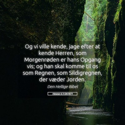 Picture 05 - Hoseas 6:3 DA1871 - Og vi ville kende, jage efter at kende Herren, - Bible Verse Picture