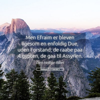 Picture 05 - Hoseas 7:11 DA1871 - Men Efraim er bleven ligesom en enfoldig Due, - Bible Verse Picture