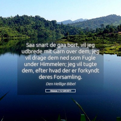 Picture 05 - Hoseas 7:12 DA1871 - Saa snart de gaa bort, vil jeg udbrede mit Garn - Bible Verse Picture