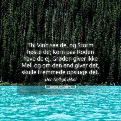 Picture 05 - Hoseas 8:7 DA1871 - Thi Vind saa de, og Storm høste de; Korn paa - Bible Verse Picture