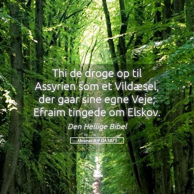 Picture 05 - Hoseas 8:9 DA1871 - Thi de droge op til Assyrien som et Vildæsel, - Bible Verse Picture